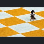 Patrick Fraley - @fraleyp - Instagram