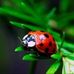 Patrick Fulks - Facebook