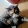 Patrick Gadbois - @patrick.gadbois - TikTok
