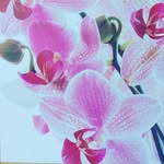 Patrick Gaillard Praticien MBE - @patrick.gaillard.378 - Instagram