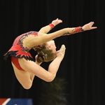Patrick Gamble//0.035k✨ - @gymnastshoutouter - Instagram