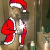 Patrick_Gamer•>• - @patrick_gamer05 - TikTok