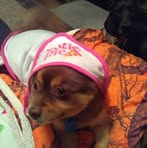 Patrick Gard - Facebook