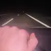 Sargolamag1710 - @patrick.garman4 - TikTok