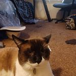 Patrick Garnett - @patrick.garnett.338 - Instagram
