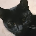Patrick - @patrick.gasperin - Instagram
