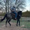 patrickgasperjr - @patrickgasperjr.1 - TikTok