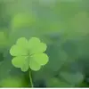patrick.gattorna - @patrick.gattorna - TikTok