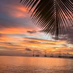 Patrick Gaudin - @gaudinpatrick64 - Instagram