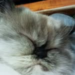 papy vieux - @gaudronpatrick - Instagram