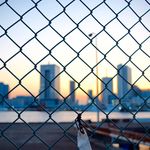 Patrick Gavaghan - @pilotpresents_ - Instagram