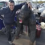 Patrick Geenis - @patrickgeenis - Instagram