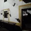 Patrick Geerts - @patrick.geerts - TikTok