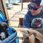 Patrick Gelinas - Facebook
