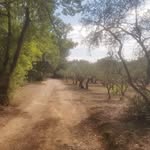 Patrick Di Gennaro - @skillia_patrickdigennaro - Instagram