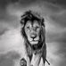Patryk Gensler - Facebook