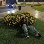 pato ✌️ - @patrickgerrarda - Instagram