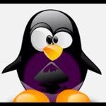 @patrickgerrard - Instagram