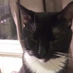 Gerry Patrick - @patrickgerry108 - Instagram