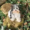 patrickgessner79 - @patrickgessner79 - TikTok