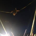 Patrick Gheen - @patrick_gheen82 - Instagram