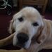 Patrick Giblin - Facebook