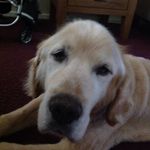 Patrick Giblin - @nicknack212121 - Instagram
