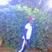 Patrick Gilbert - Facebook