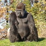 Patrick Gilis - @patrick.gilis.9 - Instagram