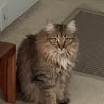 Jeannie Patrick Gilreath-Baron - @jean.gilreath2019 - Instagram