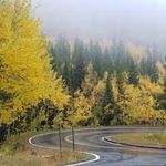 Patrick Ginley - @patrickginley - Instagram