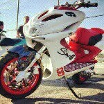 patrick - @patrickphegiuliani - Instagram