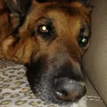 Patrick Giuliani - @giuliani__patrick - Instagram