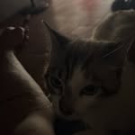 Patrick Giuliani - @_thebitchlovesosa_ - Instagram