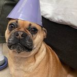Patrick Gleason - @_patrickgleason_ - Instagram