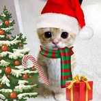 Patrick Glenn Menor - Facebook