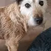 Patrick GO - @patrick.go1 - TikTok