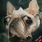Patrick Goodwin - @patrickgoodwin - Instagram