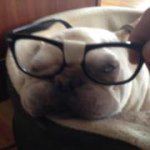 Patrick Goodin - @imnertnert - Instagram