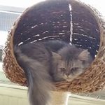 Patrick Goß - @patrickgoss1 - Instagram
