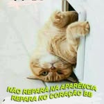 Patrick Gouveia - @patrick.gouveia.180 - Instagram