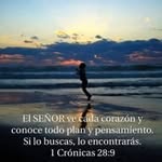 oscar - @patrickgozalezlopez - Instagram