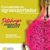 wayu peru inversiones - @gozalopatrick - TikTok