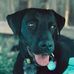 Pat Granger - Facebook