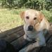 Patrick Granger - Facebook