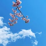 patrickgranger225 - @patrickgranger225 - Instagram