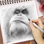 Patrick Grégoire - @gregpaddy1959 - Instagram
