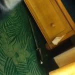 Patrick Gresham - @ninjapaddy7 - Instagram