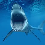 Patrick Gresham - @paddyboy7 - Instagram