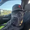 Patrick Grice - @patrick.grice - TikTok